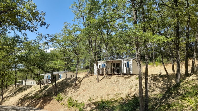 TEXAS ECO.