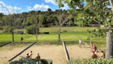 Foto #25 van Camping Naturiste Tikayan Petit Arlane