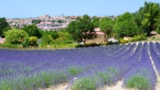 Foto #6 van Camping Naturiste Tikayan Petit Arlane