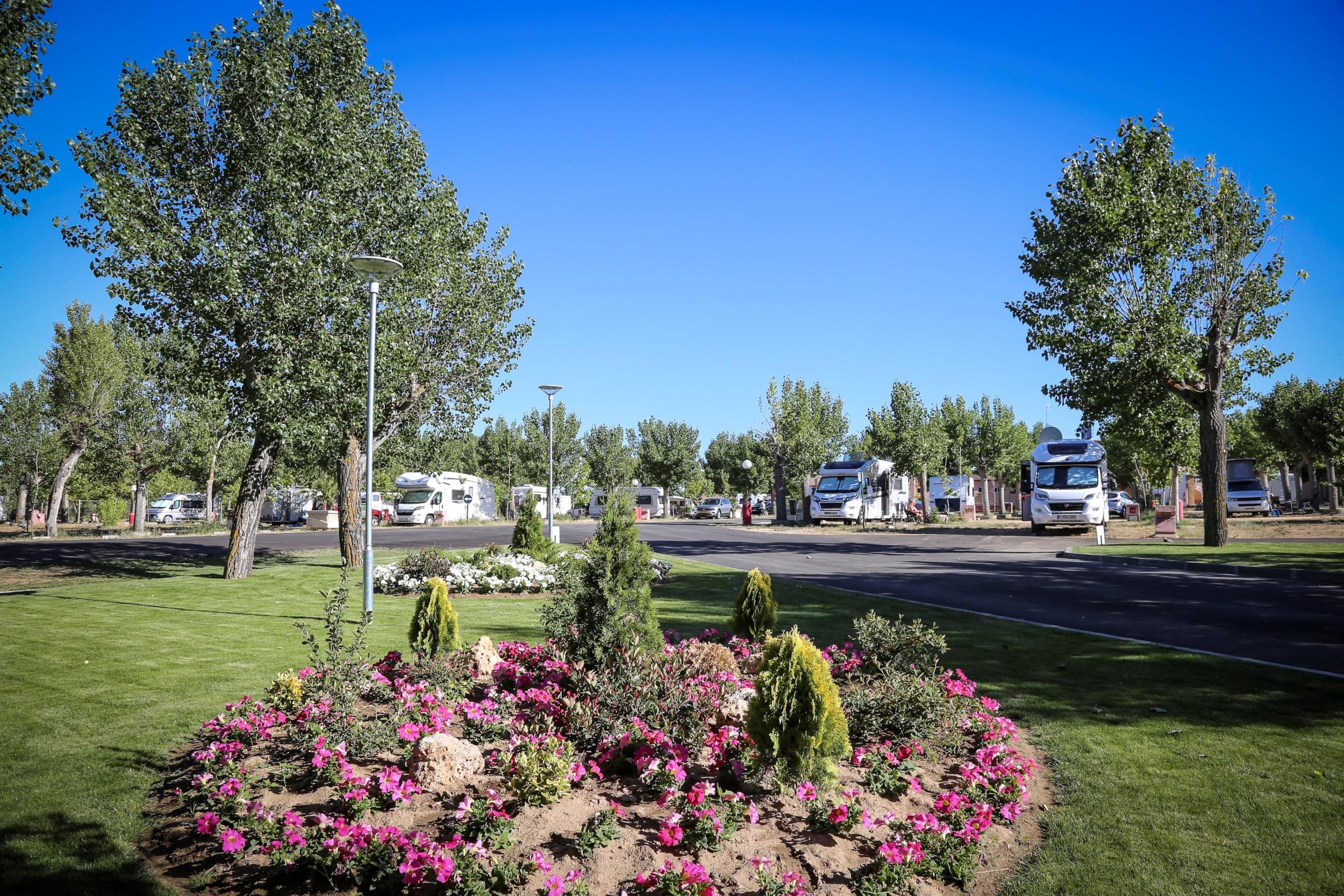 Camping Regio — Photo 5