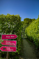 Foto #7 van Domaine de la Plage