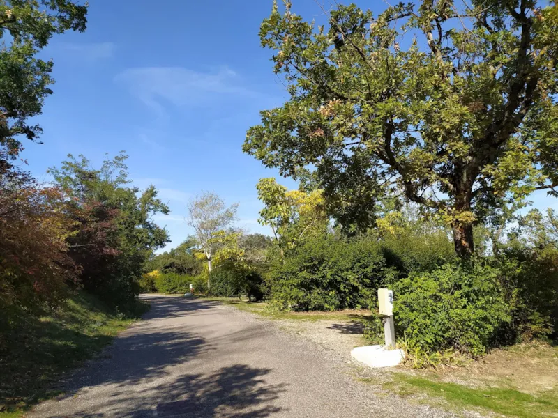 Forfait Randonneur (À Pied Ou À Vélo / 1 Tente Sans Électricité)