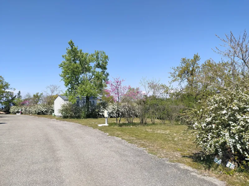 Forfait Randonneur (À Pied Ou À Vélo / 1 Tente Sans Électricité)