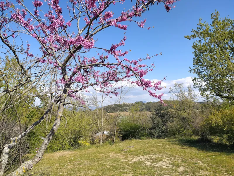 Forfait Randonneur (À Pied Ou À Vélo / 1 Tente Sans Électricité)