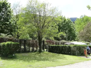 Emplacement - Pitch + car + tent or caravan - Camping Le Glandasse