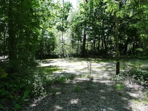 Pitch - Pitch + Car + Tent Or Caravan - image n°2 - Camping Le Glandasse