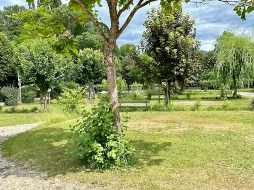 Pitch - Pitch + Car + Tent Or Caravan - image n°4 - Camping Le Glandasse