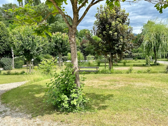 Emplacement 1 Personne + Voiture + Tente Ou Caravane