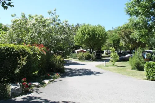 Stellplatz - Stellplatz Standard - image n°3 - GERVANNE CAMPING