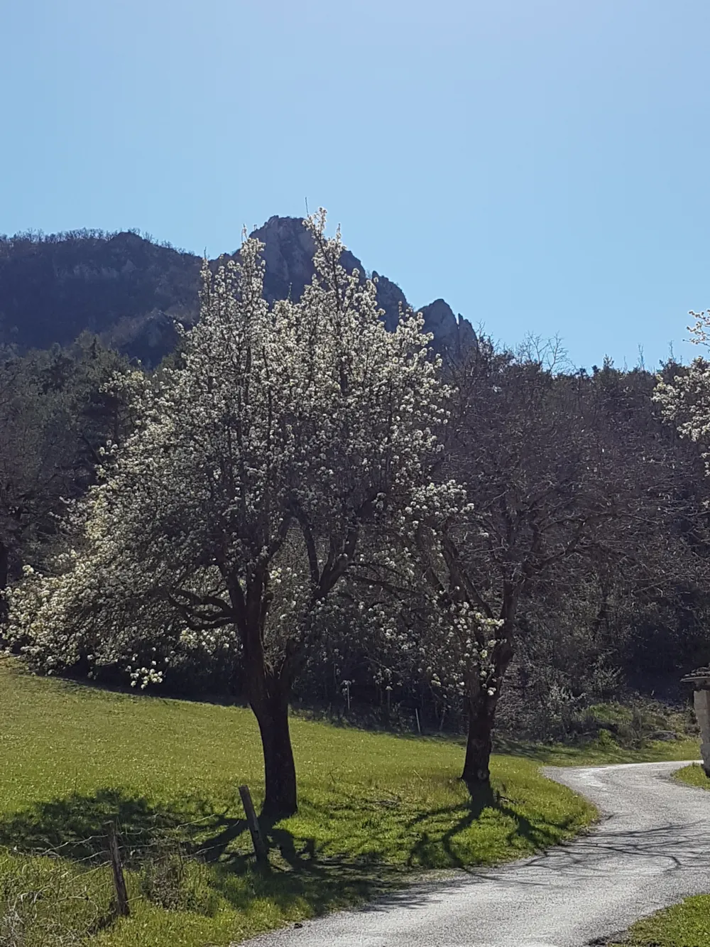 Camping La Ferme de Clareau