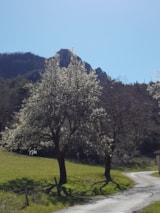 Foto #33 van Camping La Ferme de Clareau