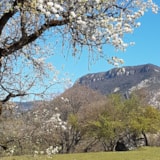 Foto #34 van Camping La Ferme de Clareau