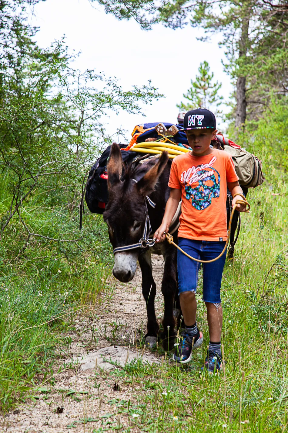 Camping La Ferme de Clareau