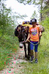 Foto #21 van Camping La Ferme de Clareau