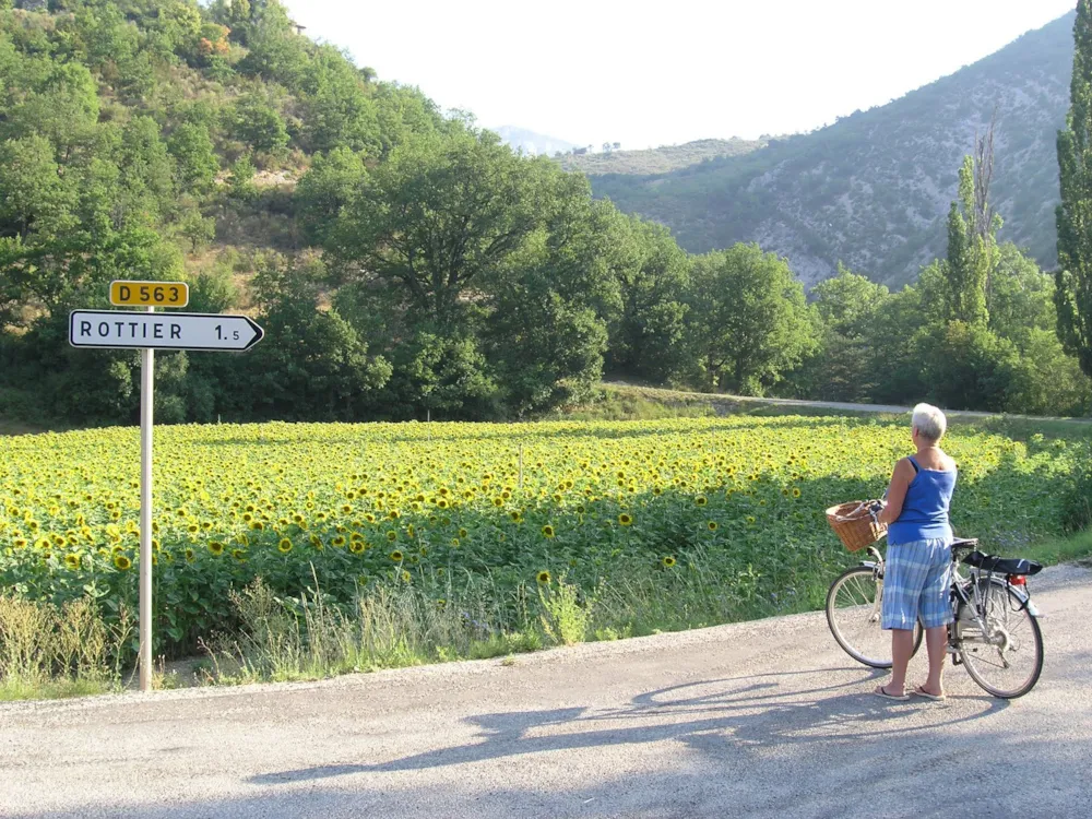Camping La Ferme de Clareau - image n°24 - Drome