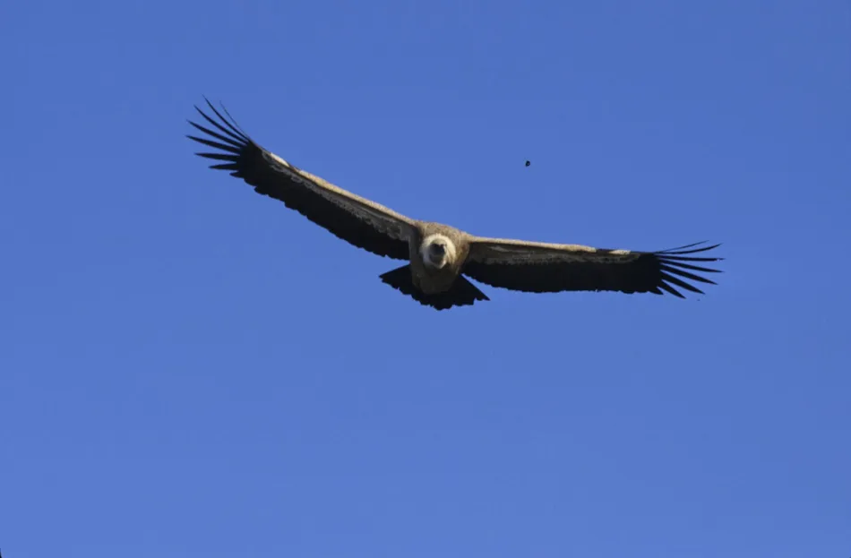 Camping La Ferme de Clareau