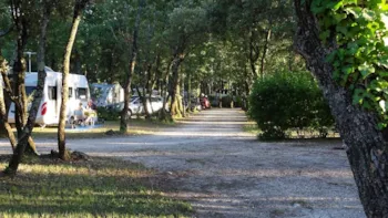 Stellplatz - Stellplatz Komfort (Zelt, Wohnwagen, Wohnmobil / 1 Auto / Strom 10A) - Flower Camping LES TRUFFIERES
