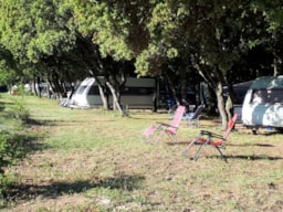 Pitch - Privilege Package + View + F Number (1 Tent, Caravan Or Motorhome / 1 Car / Electricity 10A) - Flower Camping LES TRUFFIERES