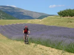Camping le Pilat - image n°15 - Drome