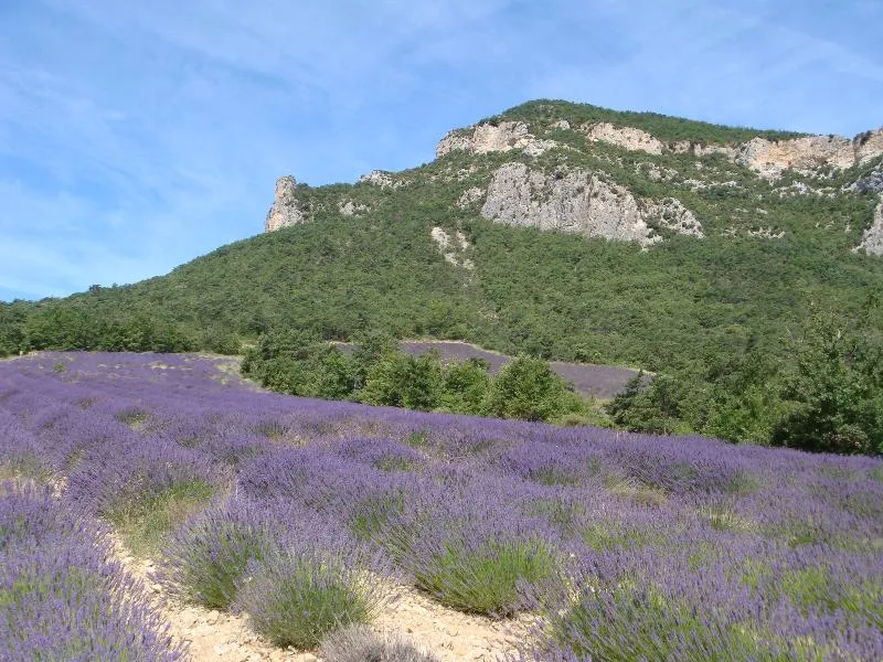 Camping le Pilat - image n°26 - Drome