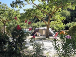 Camping le Pilat - image n°6 - Roulottes