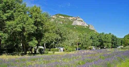 Pitch - Pitch + 1 Car - image n°3 - Camping le Pilat