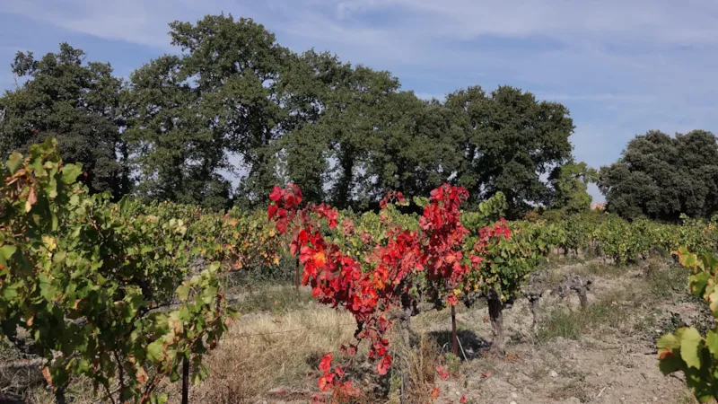 Forfait Confort Avec L'électricité