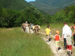 Établissement Camping Les Tuillères - Vercheny