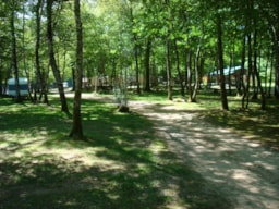 Kampeerplaats(en) - Standplaats + 1 Voertuig + Tent Of Caravan + Elektriciteit - Camping de L'Etang du Merle