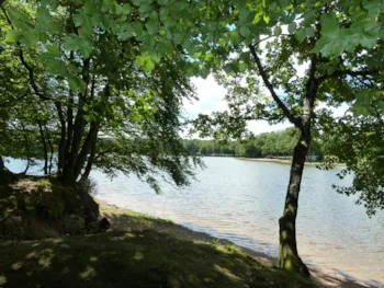 Camping de L'Etang du Merle - Ucamping