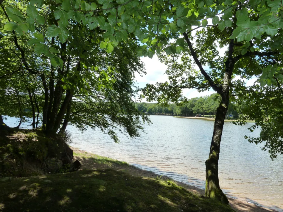 Camping de L'Etang du Merle