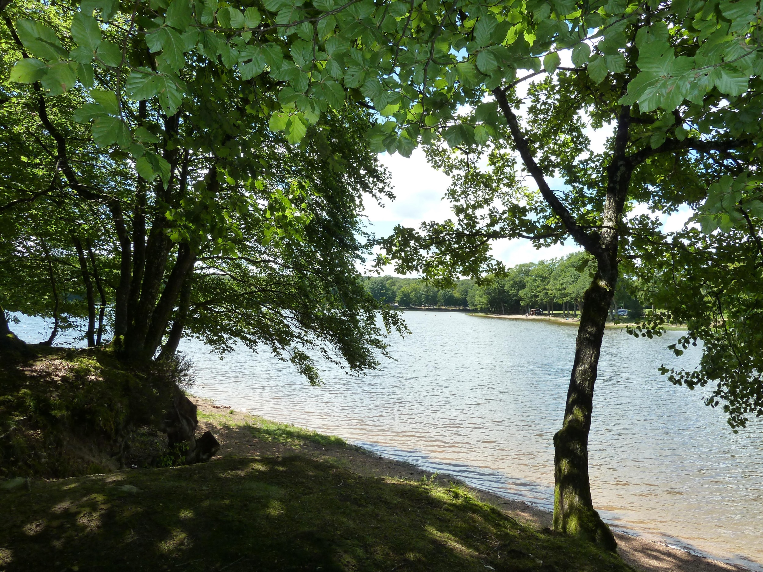 Camping de L'Etang du Merle — Photo 1