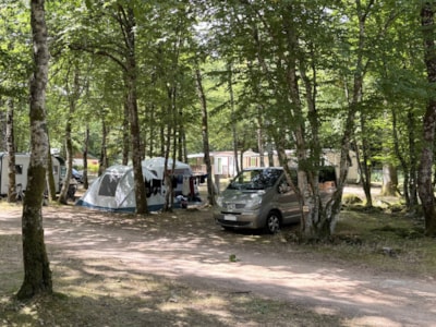 STANDARD Camping Pitch