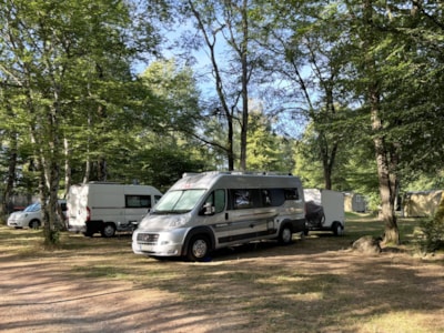 STANDARD Camping Pitch