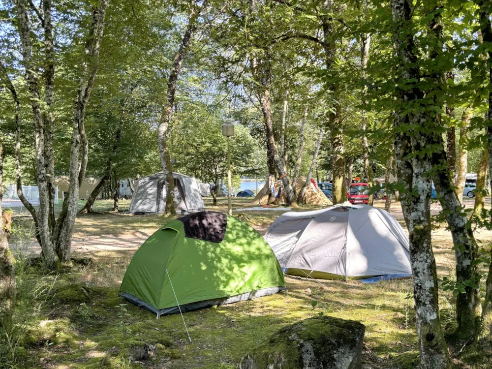 Emplacement - Emplacement Standard - Camping de L'Etang du Merle