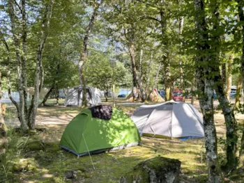 Stellplatz - Standard Camping Pitch - Camping de L'Etang du Merle