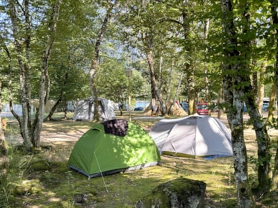 STANDARD Camping Pitch