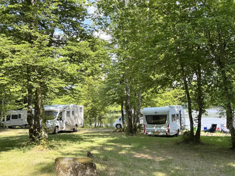 Emplacement - Emplacement Face Etang - Camping de L'Etang du Merle