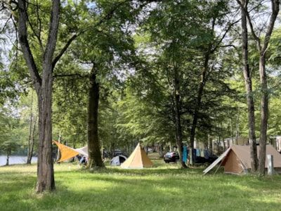 Camping Pitch FACING THE POND