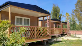 CALIFORNIA. STANDARD