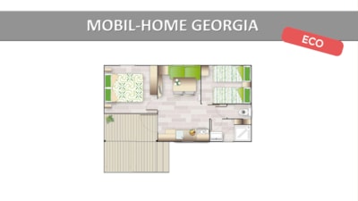 GEORGIA ECO — 9