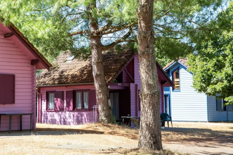 Forfait Curiste 1 Personne/21 Nuits En Chalet Ou Mobil-Home 4/6 Personnes (Animal Domestique Compris)