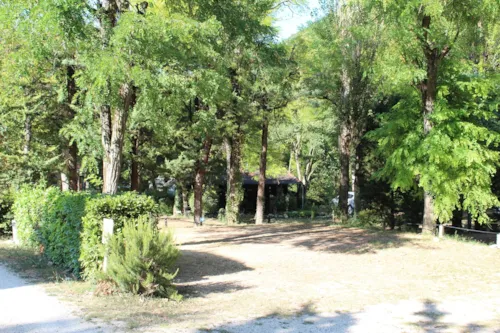 Pitch - Package (Caravan / Motorhome / Tent) 70/100M² - image n°3 - Camping Porte de Provence
