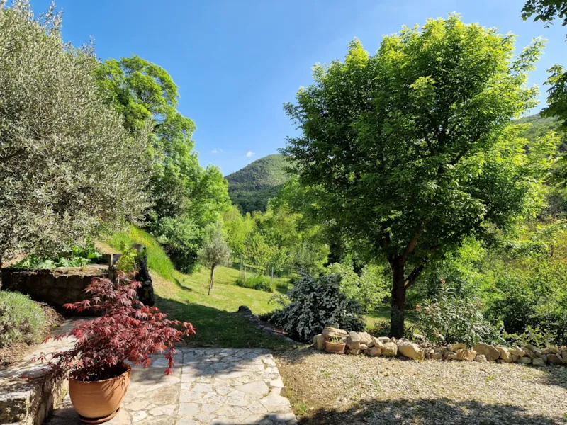 Magnifique Mas Provençal Piscine