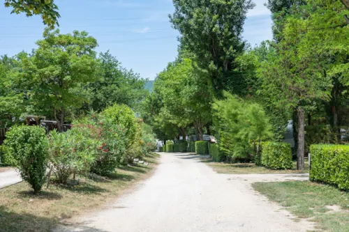 Pitch - Package (Caravan / Motorhome / Tent) 70/100M² - image n°9 - Camping Porte de Provence