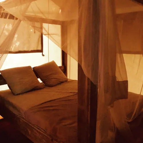 Accommodation - Lodge Jasmin 34M² - 3 Bedrooms - Kitchen - Bathroom- Private Spa - image n°9 - Hôtel de Plein Air Suze Luxe Nature