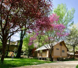 Locatif - Lodge Prairie 30m² + 15m² - 2 bedrooms - private spa- kitchen - bathroom - Hôtel de Plein Air Suze Luxe Nature