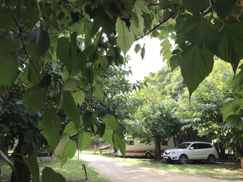 Emplacement + 1 Voiture + 1 Caravane + Électricité 10A