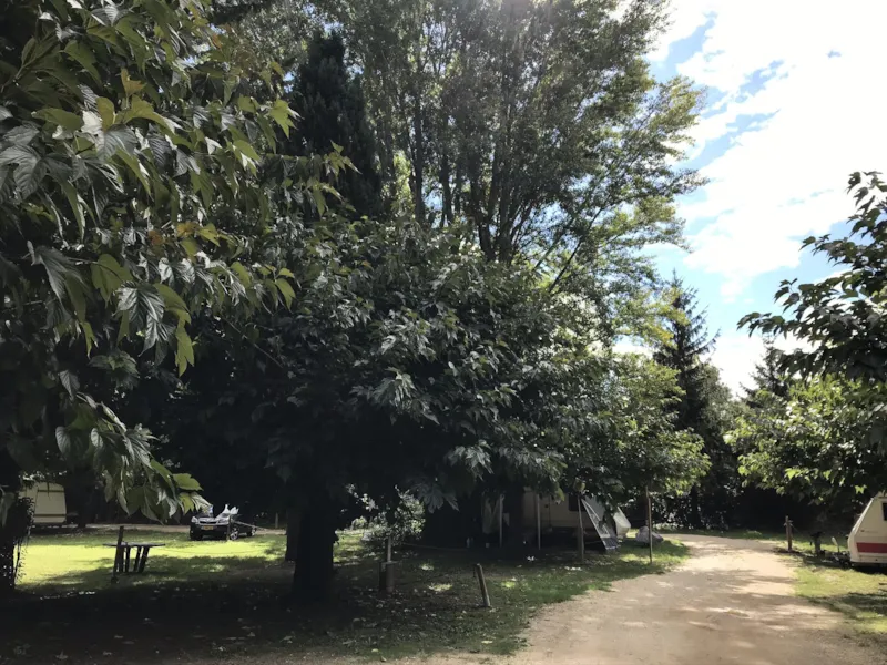 Emplacement + 1 Voiture + 1 Caravane + Électricité 10A