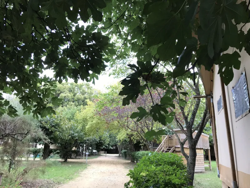 Cabane Du Baroudeur  -Avec Wc- Micro Cuisine Sans Eau - Sans Douche